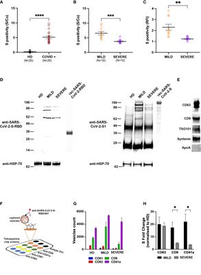 Exosomes Recovered From the Plasma of COVID-19 Patients Expose SARS-CoV-2 Spike-Derived Fragments and Contribute to the Adaptive Immune Response